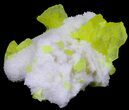 Sulfur Crystals on Aragonite - Italy #39016-2